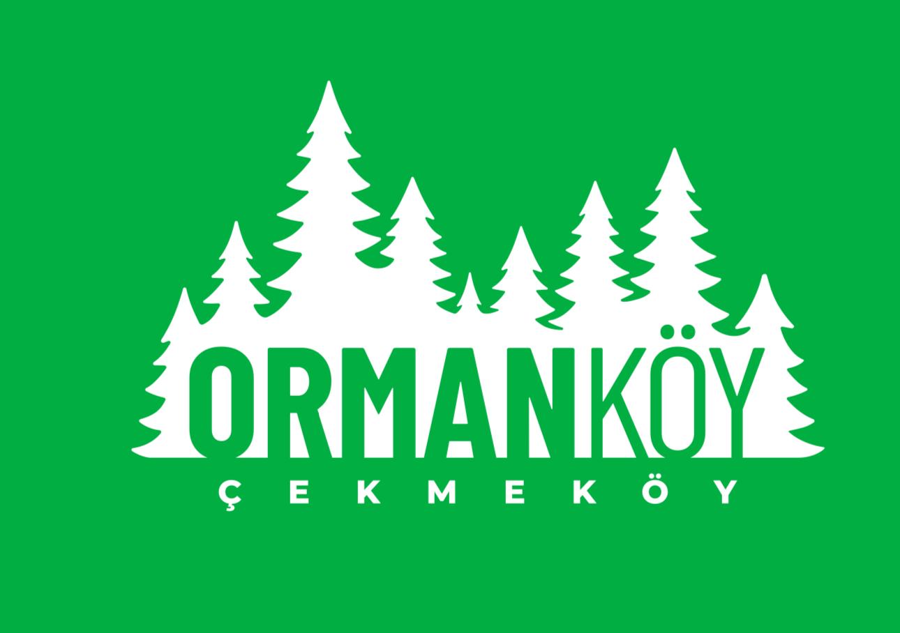 Referans görseli 06